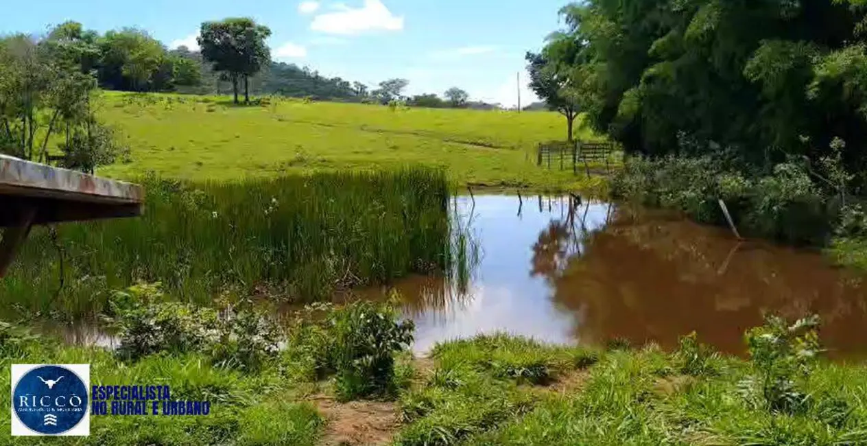 Foto 2 de Chácara à venda em Taquaral De Goias - GO