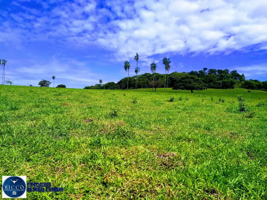 Foto 8 de Chácara à venda em Taquaral De Goias - GO