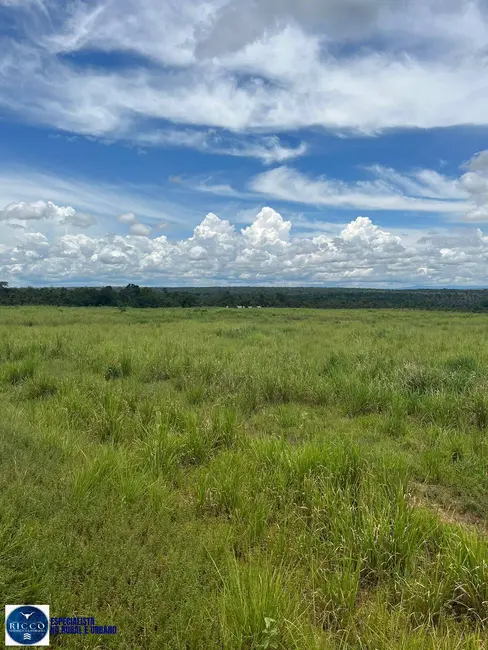 Foto 6 de Fazenda / Haras com 4 quartos à venda, 1598m2 em Colinas Do Tocantins - TO