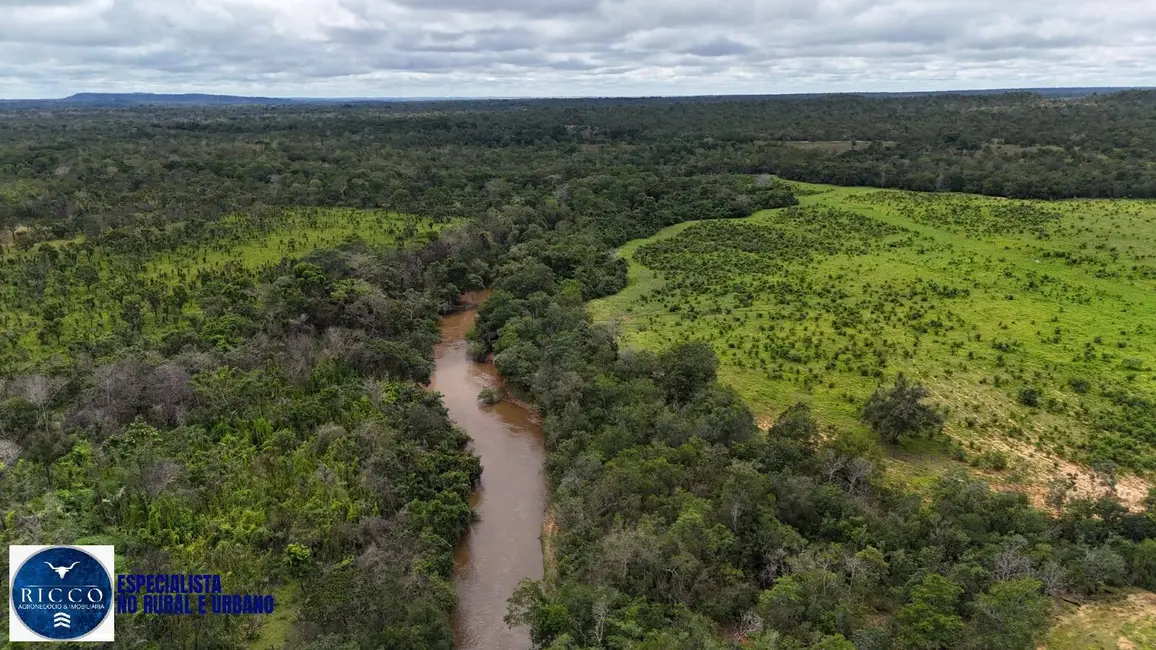 Foto 1 de Fazenda / Haras com 4 quartos à venda, 1598m2 em Colinas Do Tocantins - TO