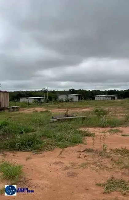 Foto 3 de Fazenda / Haras com 4 quartos à venda, 1598m2 em Colinas Do Tocantins - TO