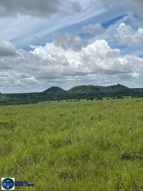 Foto 8 de Fazenda / Haras com 4 quartos à venda, 1598m2 em Colinas Do Tocantins - TO