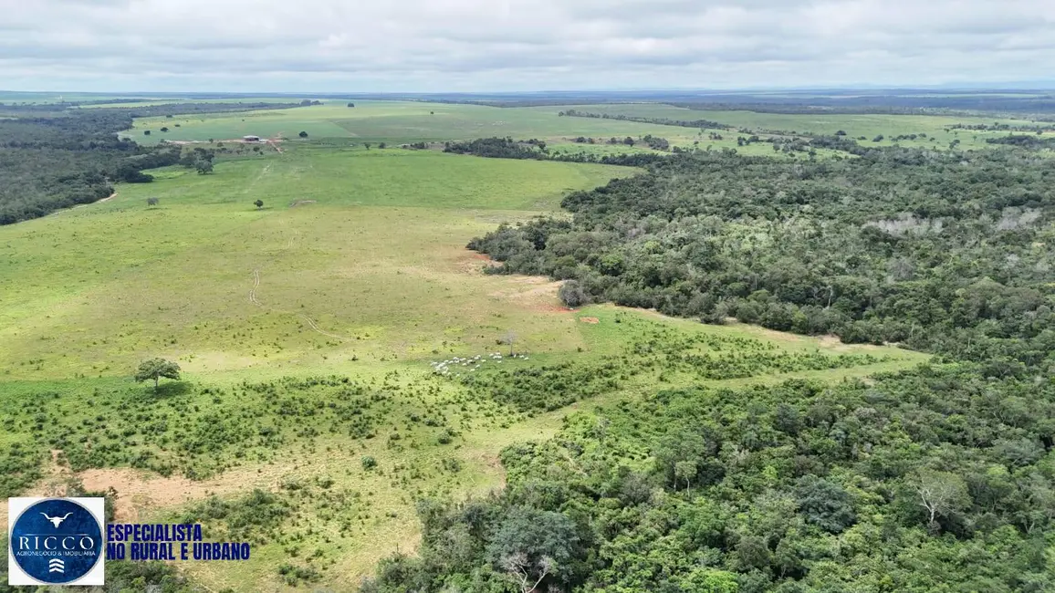 Foto 5 de Fazenda / Haras com 4 quartos à venda, 1598m2 em Colinas Do Tocantins - TO