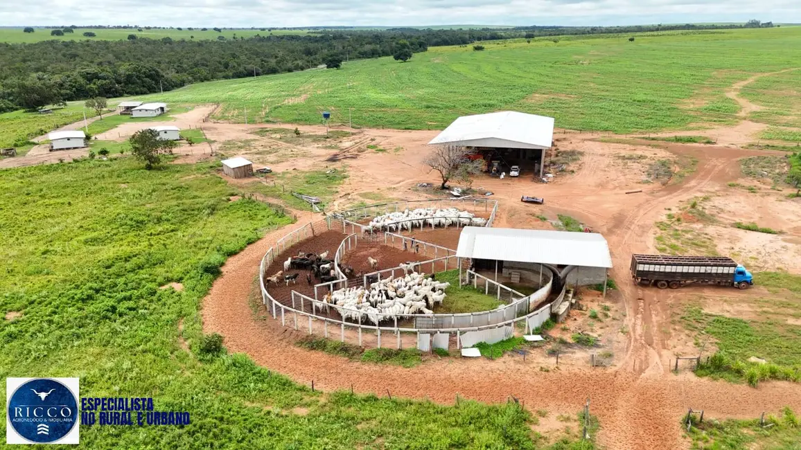 Foto 2 de Fazenda / Haras com 4 quartos à venda, 1598m2 em Colinas Do Tocantins - TO