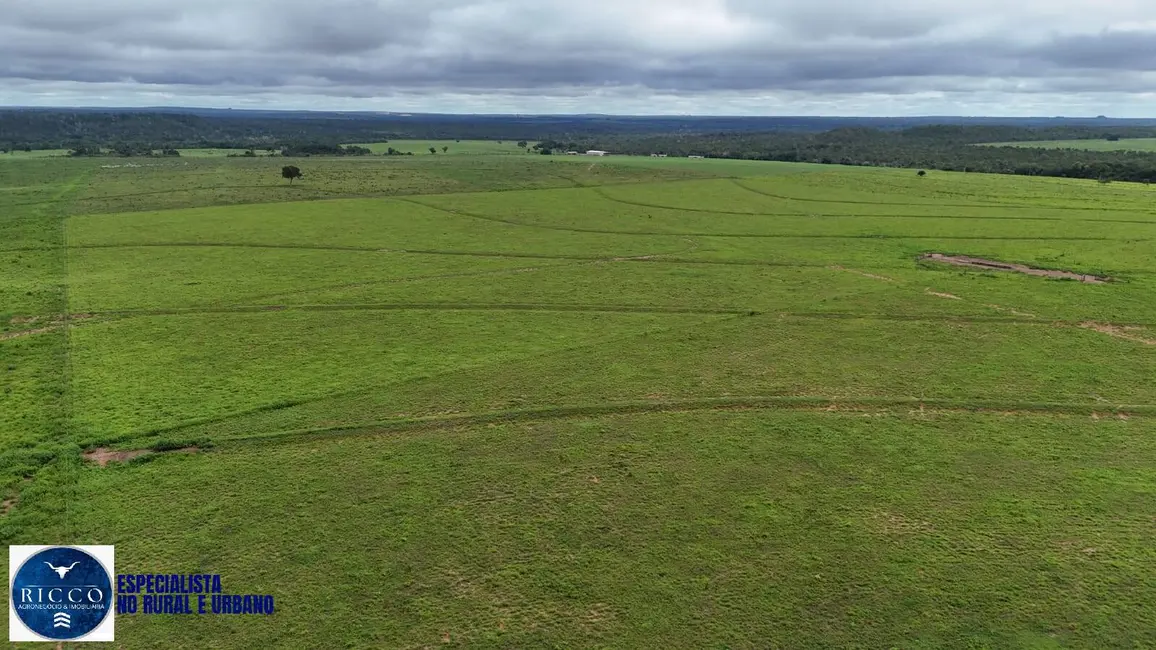 Foto 7 de Fazenda / Haras com 4 quartos à venda, 1598m2 em Colinas Do Tocantins - TO