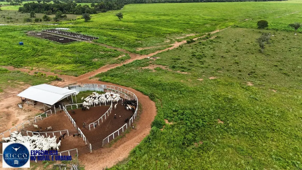 Foto 9 de Fazenda / Haras com 4 quartos à venda, 1598m2 em Colinas Do Tocantins - TO