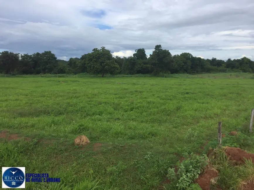 Foto 3 de Fazenda / Haras com 6 quartos à venda, 141m2 em Porangatu - GO