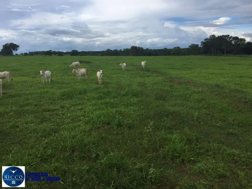 Foto 7 de Fazenda / Haras com 6 quartos à venda, 141m2 em Porangatu - GO