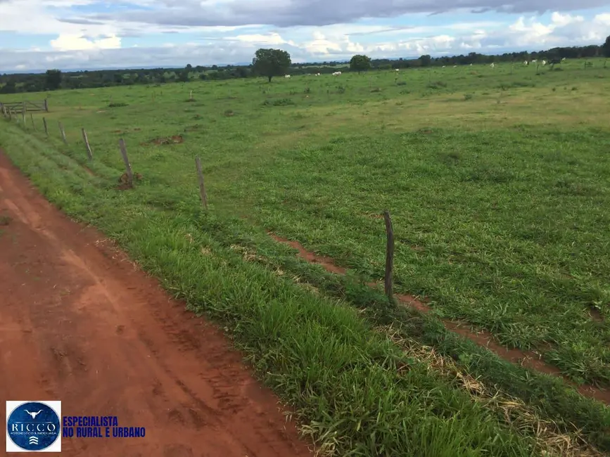 Foto 2 de Fazenda / Haras com 6 quartos à venda, 141m2 em Porangatu - GO