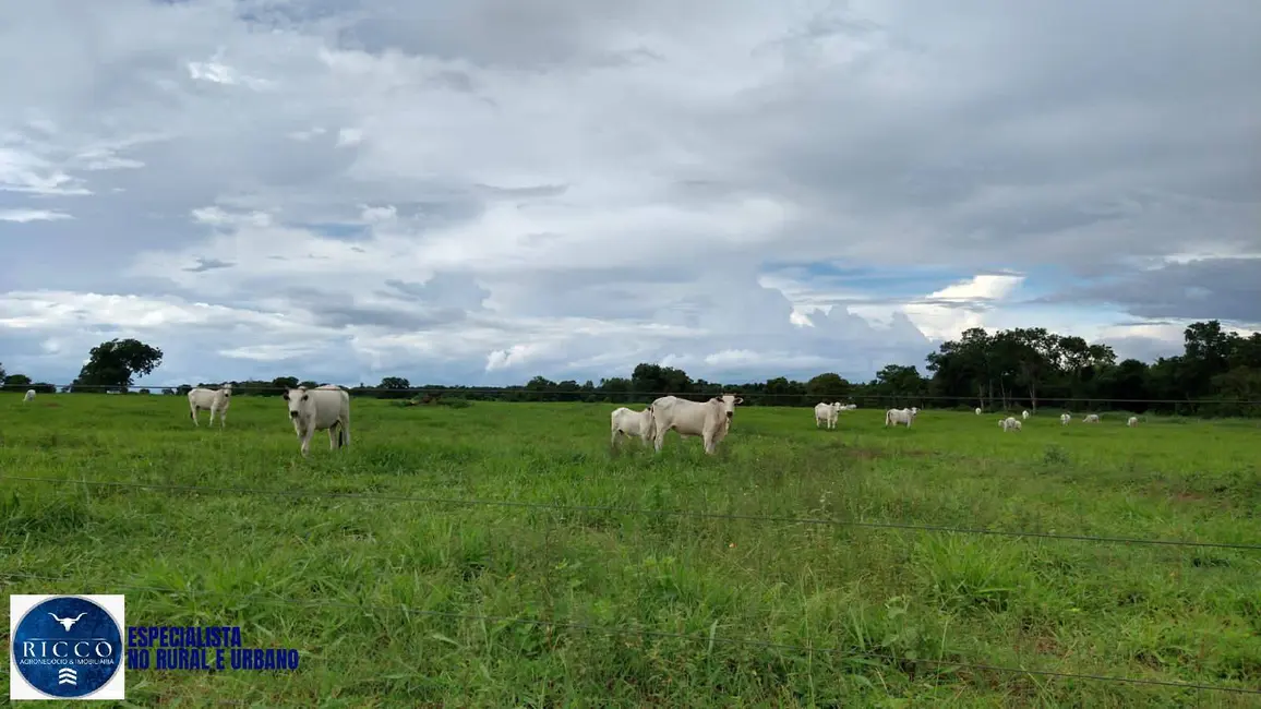 Foto 4 de Fazenda / Haras com 6 quartos à venda, 141m2 em Porangatu - GO