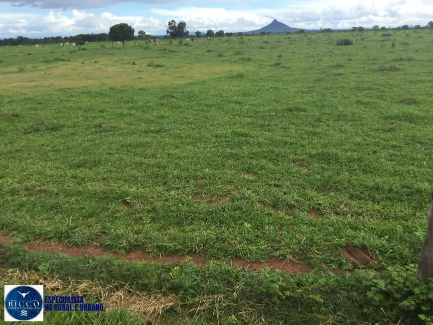 Foto 6 de Fazenda / Haras com 6 quartos à venda, 141m2 em Porangatu - GO