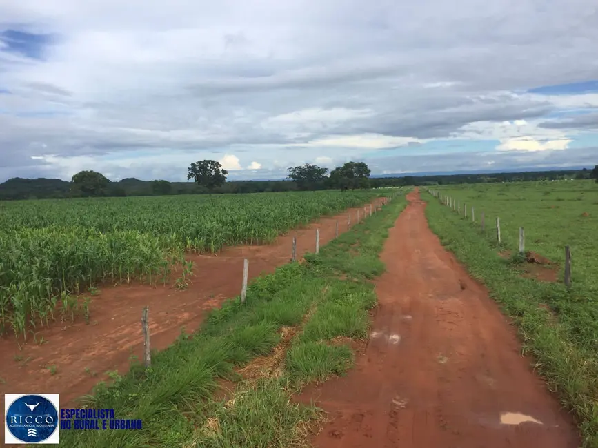 Foto 9 de Fazenda / Haras com 6 quartos à venda, 141m2 em Porangatu - GO