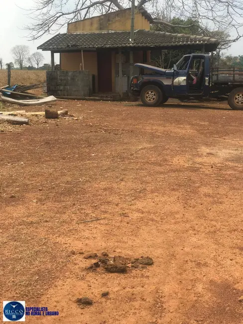 Foto 6 de Fazenda / Haras com 4 quartos à venda, 125m2 em Nova Crixas - GO
