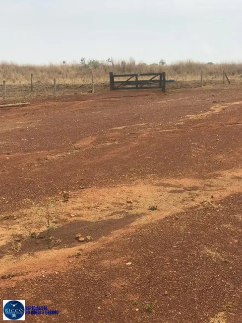 Foto 4 de Fazenda / Haras com 4 quartos à venda, 125m2 em Nova Crixas - GO