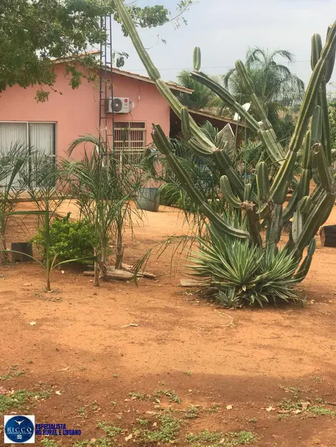Foto 8 de Fazenda / Haras com 4 quartos à venda, 125m2 em Nova Crixas - GO
