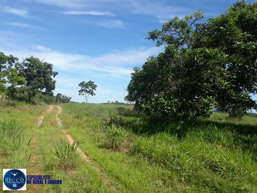 Foto 1 de Chácara com 2 quartos à venda em Itapuranga - GO