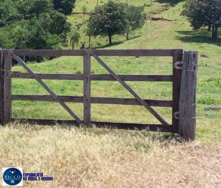 Foto 1 de Fazenda / Haras com 5 quartos à venda, 35m2 em Bom Jardim De Goias - GO