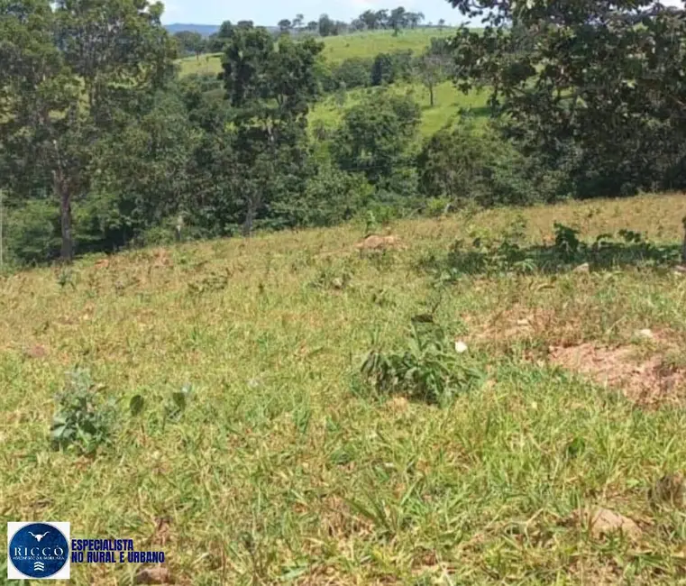 Foto 6 de Fazenda / Haras com 5 quartos à venda, 35m2 em Bom Jardim De Goias - GO