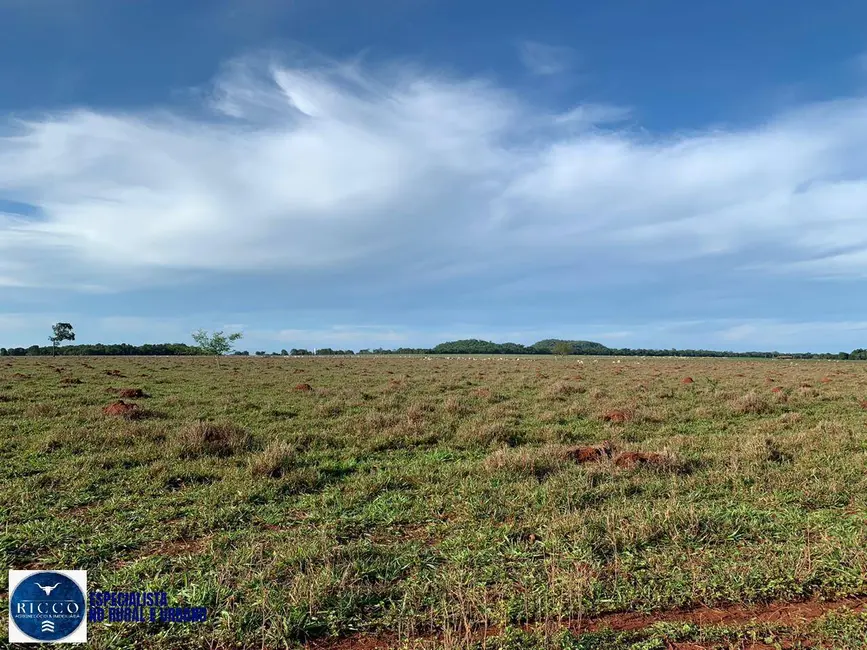 Fazenda / Haras com 3 quartos à venda, 159m2 em Santa Fe De Goias - GO - imagem 3 Foto 3 de Fazenda / Haras com 3 quartos à venda, 159m2 em Santa Fe De Goias - GO