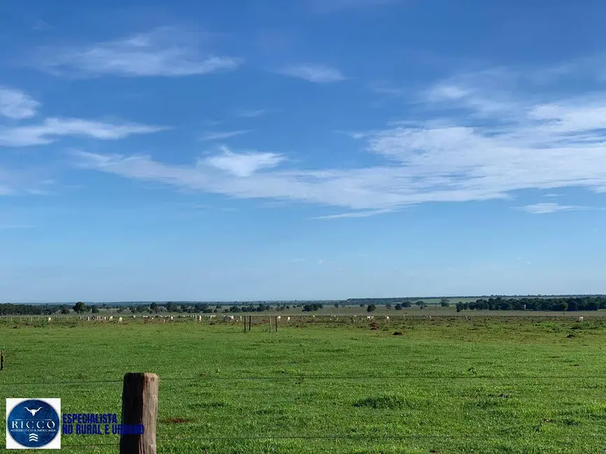 Fazenda / Haras com 3 quartos à venda, 159m2 em Santa Fe De Goias - GO - imagem 6 Foto 6 de Fazenda / Haras com 3 quartos à venda, 159m2 em Santa Fe De Goias - GO