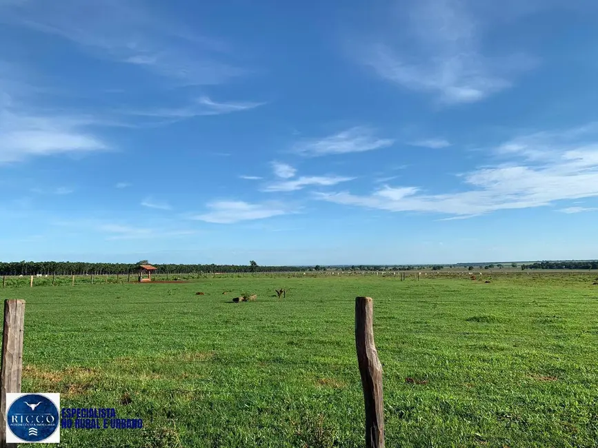 Fazenda / Haras com 3 quartos à venda, 159m2 em Santa Fe De Goias - GO - imagem 7 Foto 7 de Fazenda / Haras com 3 quartos à venda, 159m2 em Santa Fe De Goias - GO