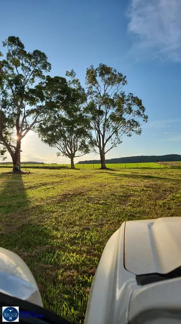 Foto 3 de Fazenda / Haras com 3 quartos à venda, 300m2 em Baliza - GO