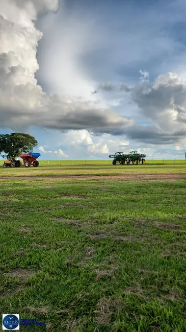 Foto 2 de Fazenda / Haras com 3 quartos à venda, 300m2 em Baliza - GO