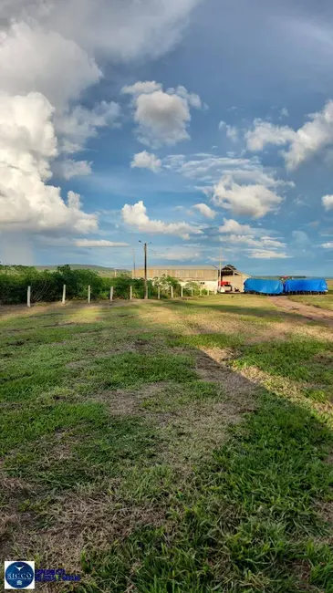 Foto 5 de Fazenda / Haras com 3 quartos à venda, 300m2 em Baliza - GO