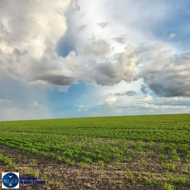 Foto 7 de Fazenda / Haras com 3 quartos à venda, 300m2 em Baliza - GO