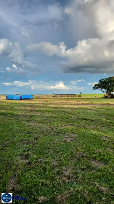 Foto 6 de Fazenda / Haras com 3 quartos à venda, 300m2 em Baliza - GO