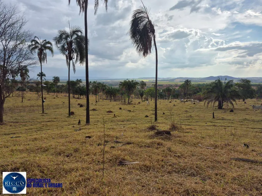 Foto 7 de Fazenda / Haras à venda, 21m2 em Aracu - GO