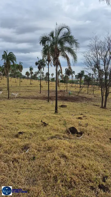Foto 8 de Fazenda / Haras à venda, 21m2 em Aracu - GO