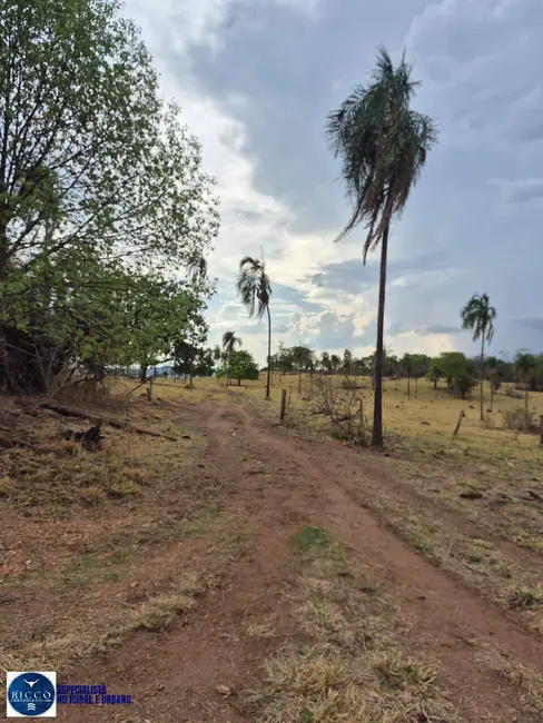 Foto 9 de Fazenda / Haras à venda, 21m2 em Aracu - GO