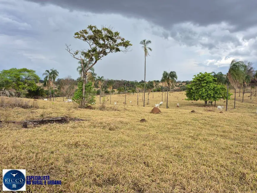 Foto 4 de Fazenda / Haras à venda, 21m2 em Aracu - GO