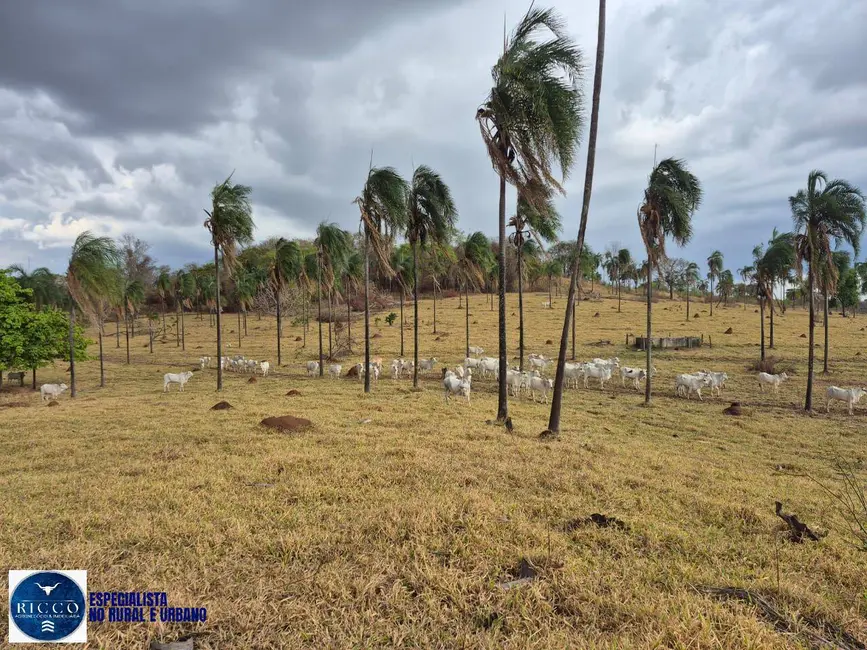 Foto 1 de Fazenda / Haras à venda, 21m2 em Aracu - GO
