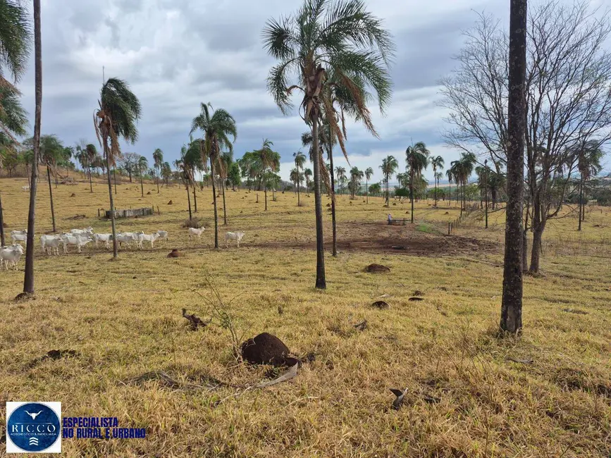 Foto 5 de Fazenda / Haras à venda, 21m2 em Aracu - GO