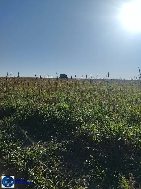 Foto 9 de Fazenda / Haras à venda, 400m2 em Doverlandia - GO