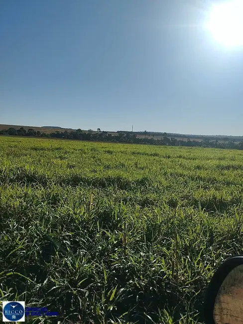 Foto 8 de Fazenda / Haras à venda, 400m2 em Doverlandia - GO