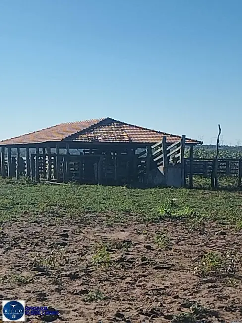 Foto 6 de Fazenda / Haras à venda, 400m2 em Doverlandia - GO