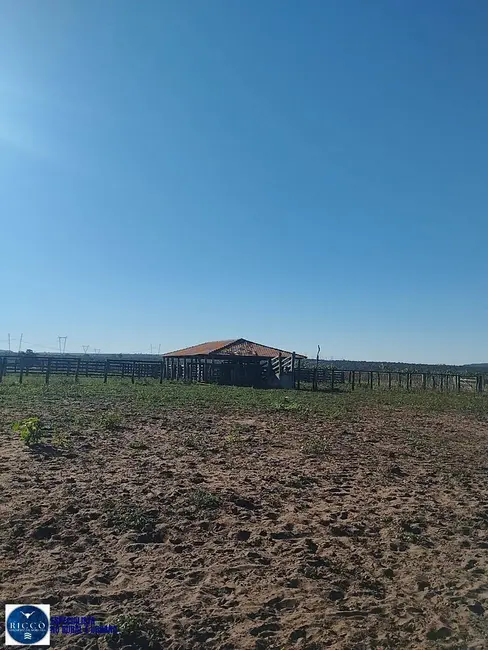 Foto 2 de Fazenda / Haras à venda, 400m2 em Doverlandia - GO