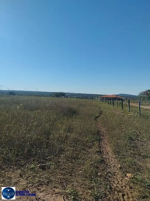 Foto 1 de Fazenda / Haras à venda, 400m2 em Doverlandia - GO