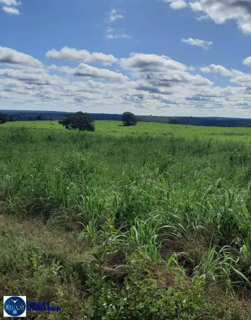 Foto 8 de Fazenda / Haras com 5 quartos à venda, 1930m2 em Novo Sao Joaquim - MT