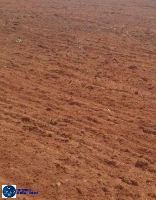 Foto 7 de Fazenda / Haras com 5 quartos à venda, 1930m2 em Novo Sao Joaquim - MT