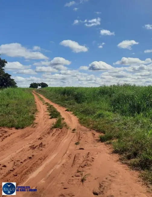 Foto 5 de Fazenda / Haras com 5 quartos à venda, 1930m2 em Novo Sao Joaquim - MT