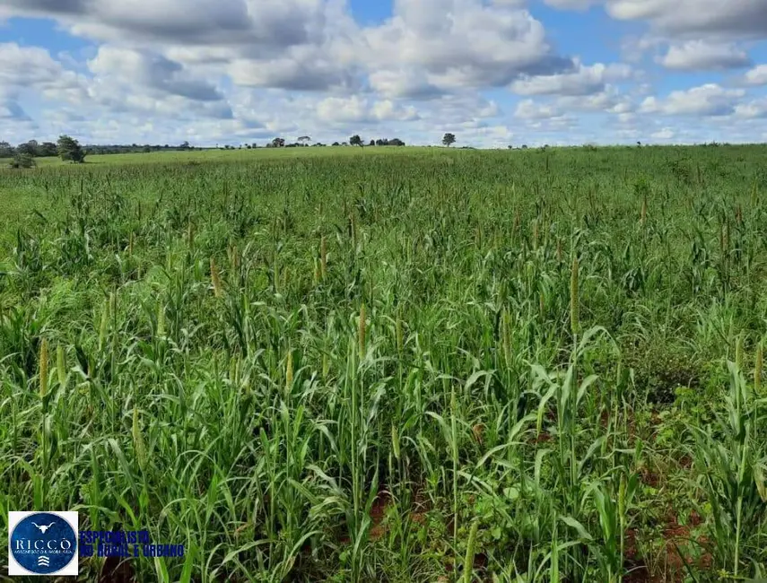 Foto 9 de Fazenda / Haras com 5 quartos à venda, 1930m2 em Novo Sao Joaquim - MT