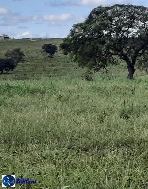 Foto 3 de Fazenda / Haras com 5 quartos à venda, 1930m2 em Novo Sao Joaquim - MT