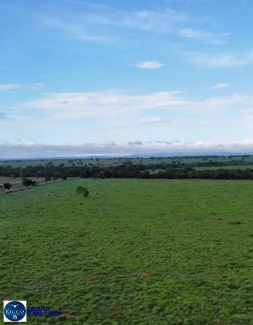 Foto 9 de Fazenda / Haras com 3 quartos à venda, 4644m2 em Barra Do Garcas - MT