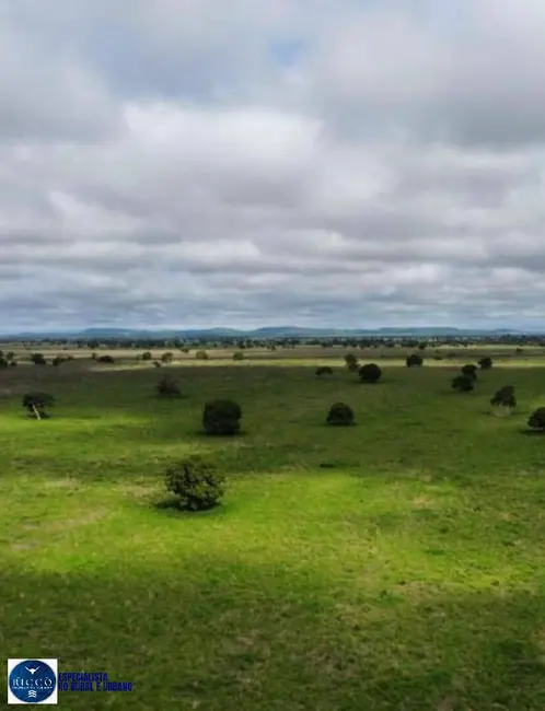 Foto 8 de Fazenda / Haras com 3 quartos à venda, 4644m2 em Barra Do Garcas - MT