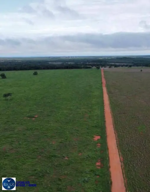 Foto 4 de Fazenda / Haras com 3 quartos à venda, 4644m2 em Barra Do Garcas - MT