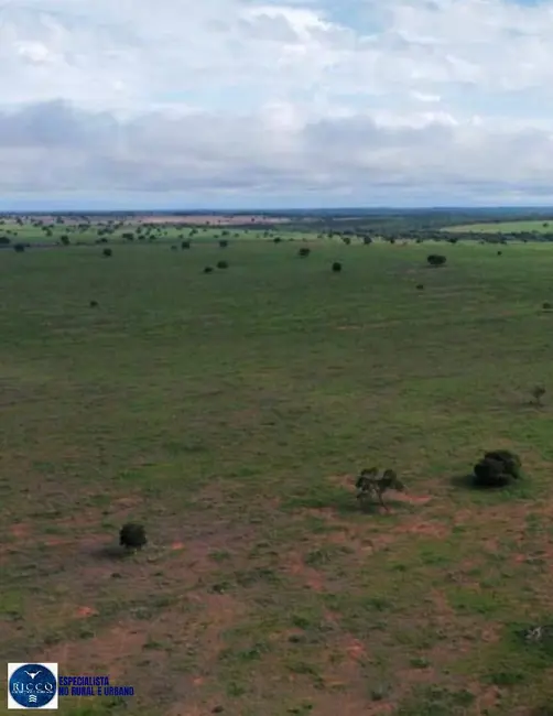 Foto 6 de Fazenda / Haras com 3 quartos à venda, 4644m2 em Barra Do Garcas - MT